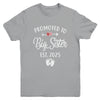 Promoted To Big Sister Est 2025 Funny First Time New Sister Youth Shirt | teecentury