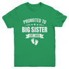 Promoted To Big Sister Est 2025 New Sister First Time New Youth Shirt | teecentury