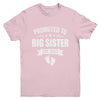 Promoted To Big Sister Est 2025 New Sister First Time New Youth Shirt | teecentury