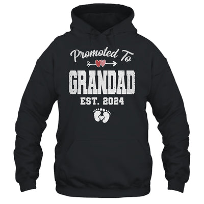 Promoted To Grandad Est 2024 Funny First Time Fathers Day Shirt & Hoodie | teecentury