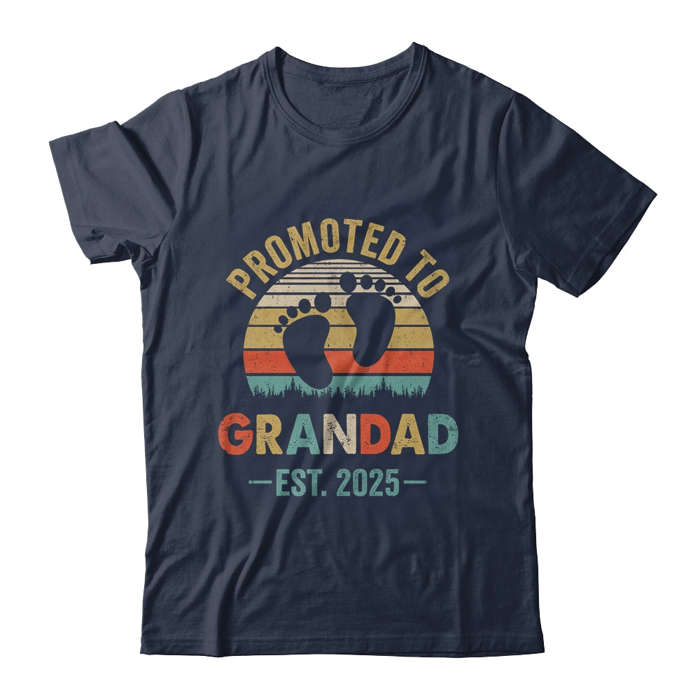 Promoted To Grandad Est 2025 Fathers Day Vintage Shirt & Hoodie | teecentury
