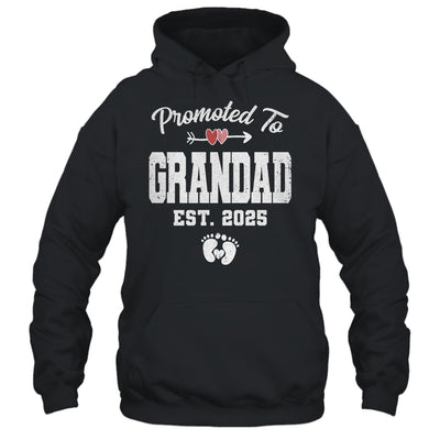 Promoted To Grandad Est 2025 Funny First Time Fathers Day Shirt & Hoodie | teecentury