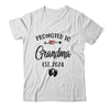 Promoted To Grandma Est 2024 First Time Mothers Day Shirt & Tank Top | teecentury