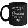 Promoted To Grandma Est 2024 Funny First Time Mothers Day Mug | teecentury