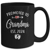 Promoted To Grandma Est 2024 Funny First Time Mothers Day Mug | teecentury