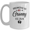 Promoted To Granny Est 2024 First Time Mothers Day Mug | teecentury