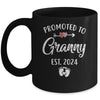 Promoted To Granny Est 2024 Funny First Time Mothers Day Mug | teecentury