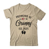 Promoted To Granny Est 2025 First Time Mothers Day Shirt & Tank Top | teecentury