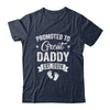 Promoted To Great Daddy Est 2026 Pregnancy Announcement Shirt & Hoodie | teecentury
