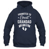 Promoted To Great Grandad Est 2026 Pregnancy Announcement Shirt & Hoodie | teecentury