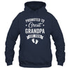 Promoted To Great Grandpa Est 2026 Pregnancy Announcement Shirt & Hoodie | teecentury