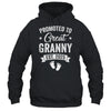 Promoted To Great Granny Est 2025 Pregnancy Announcement Shirt & Tank Top | teecentury