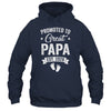 Promoted To Great Papa Est 2026 Pregnancy Announcement Shirt & Hoodie | teecentury
