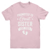 Promoted To Great Sister Est 2025 Pregnancy Announcement Youth Shirt | teecentury