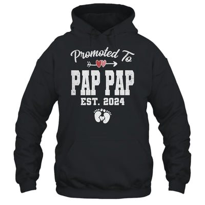 Promoted To Pap Pap Est 2024 Funny First Time Fathers Day Shirt & Hoodie | teecentury