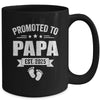 Promoted To Papa Est 2025 Fathers Day First Time New Papa Mug | teecentury