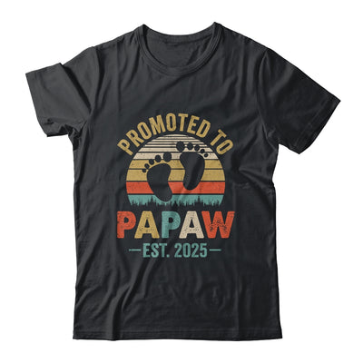 Promoted To Papaw Est 2025 Fathers Day Vintage Shirt & Hoodie | teecentury