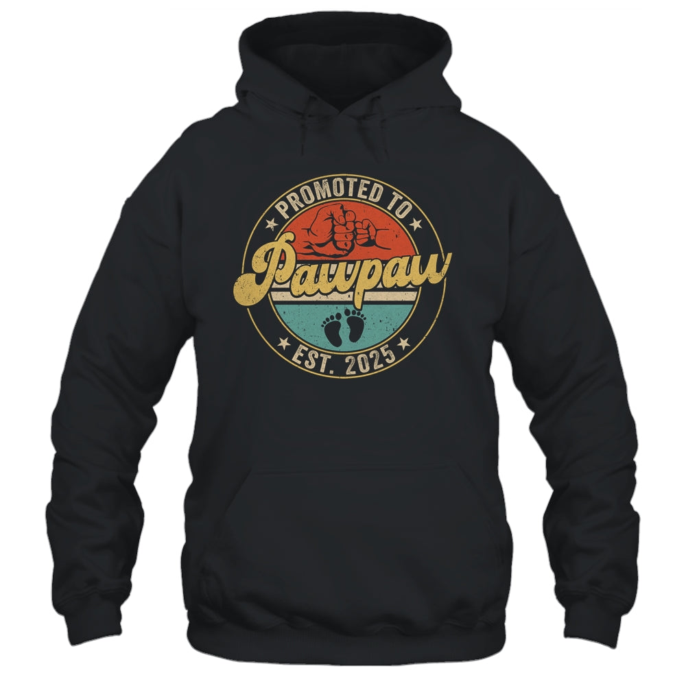 Promoted To Pawpaw 2025 Pregnancy New First Pawpaw Retro Shirt & Hoodie | teecentury