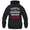 Promoted To Pawpaw Again 2025 Pregnancy Announcement Shirt & Hoodie | teecentury