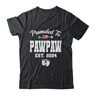 Promoted To Pawpaw Est 2024 Funny First Time Fathers Day Shirt & Hoodie | teecentury