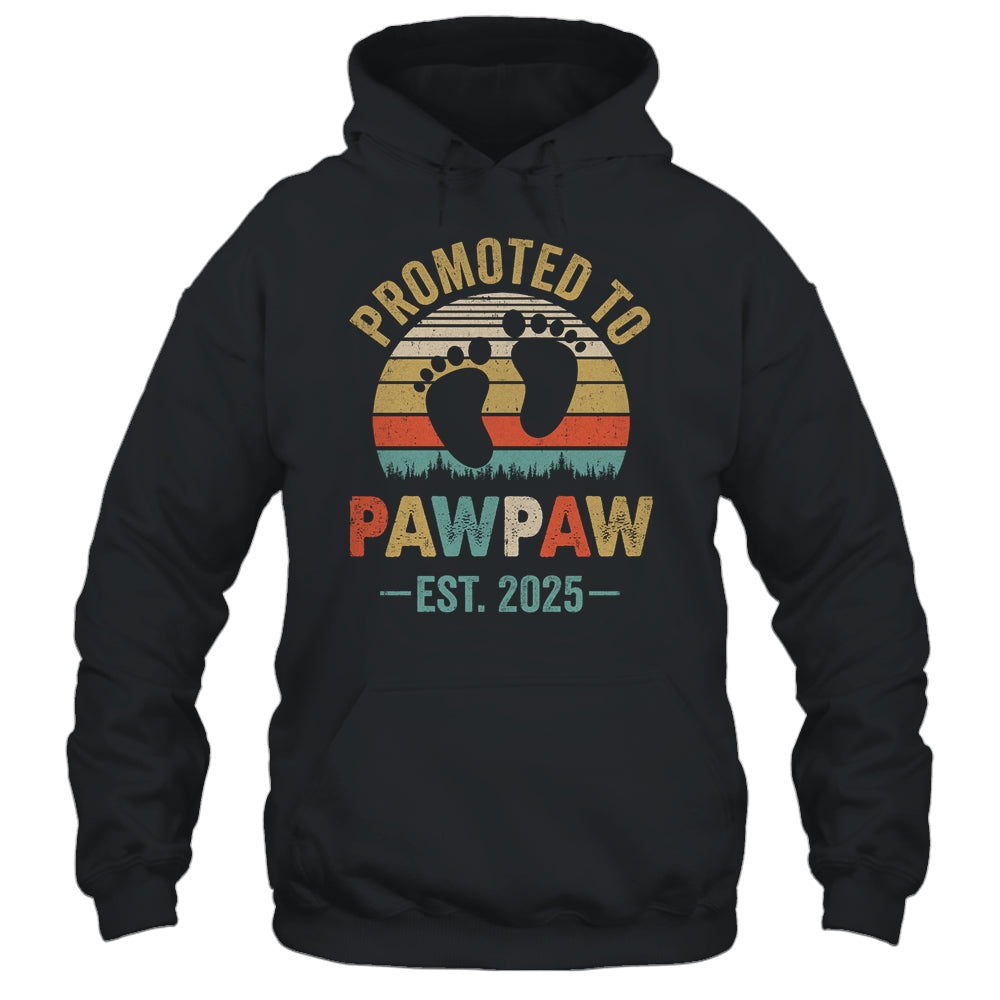 Promoted To Pawpaw Est 2025 Fathers Day Vintage Shirt & Hoodie | teecentury