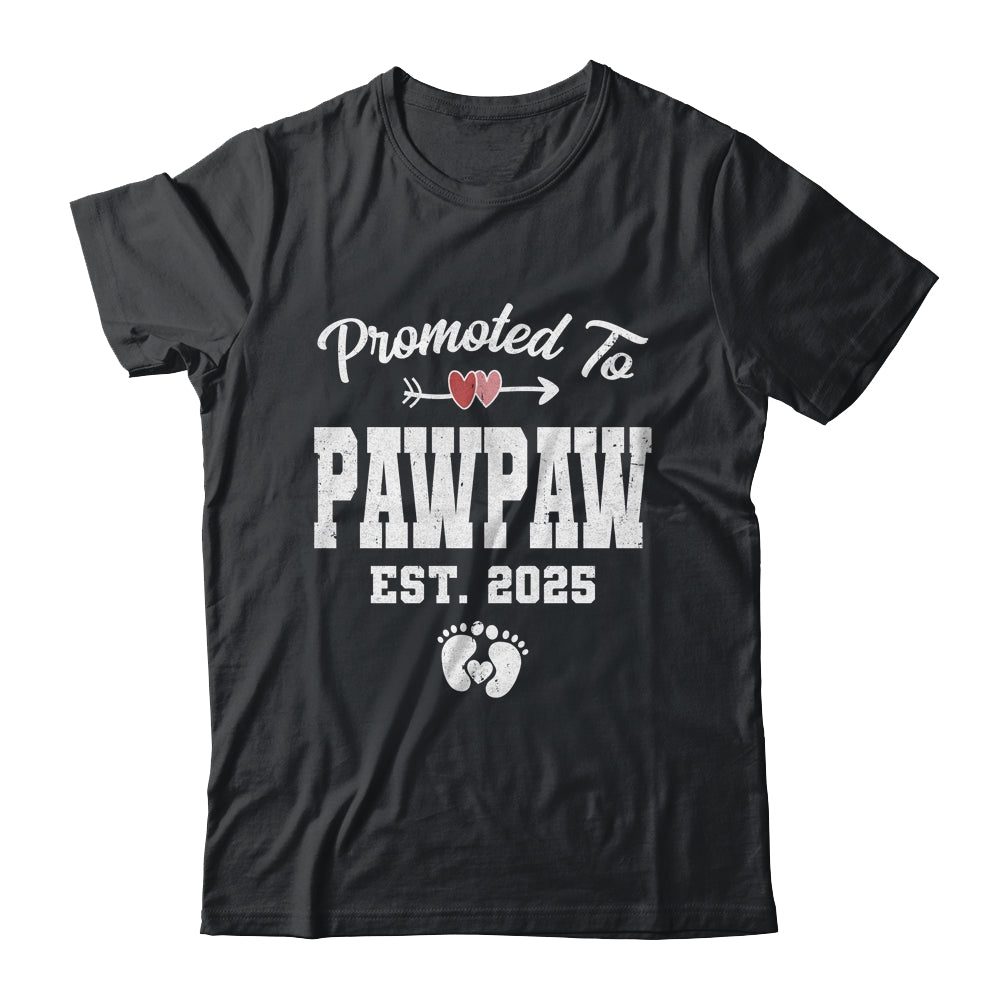 Promoted To Pawpaw Est 2025 Funny First Time Fathers Day Shirt & Hoodie | teecentury