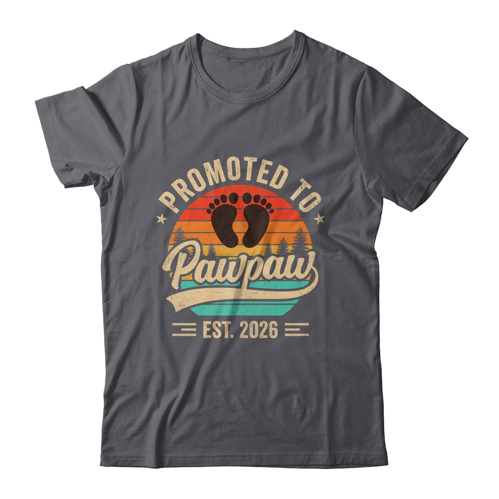 Promoted To Pawpaw Est 2026 Grandparents Baby Announcement Shirt & Hoodie | teecentury