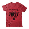 Promoted To Poppy Est 2026 First Time Fathers Day Shirt & Hoodie | teecentury