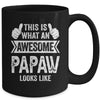 This Is What An Awesome Papaw Looks Like Fathers Day Cool Mug | teecentury