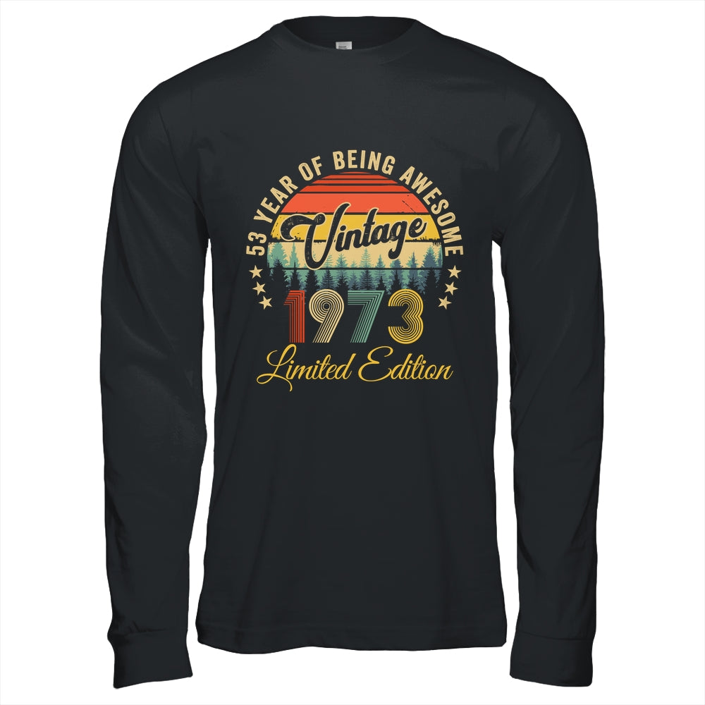 Vintage 1973 Limited Edition 53 Years Old 53rd Birthday Shirt & Hoodie | teecentury