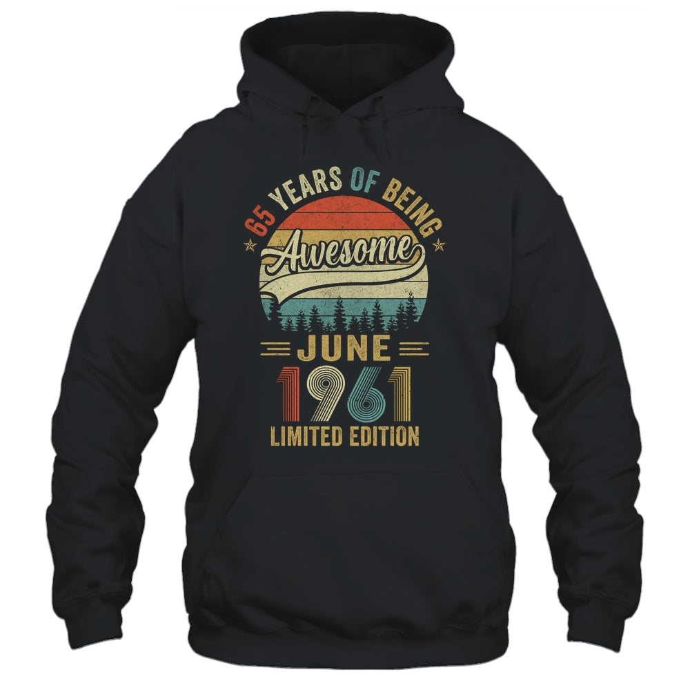 Vintage June 1961 65 Years Old 65th Birthday Men Women Shirt & Hoodie | teecentury