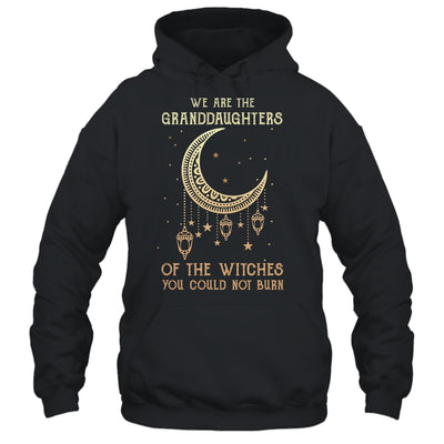 We Are The Granddaughters Of The Witches You Could Not Burn T-Shirt & Hoodie | Teecentury.com