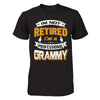 I'm Not Retired I'm A Professional Grammy T-Shirt & Hoodie | Teecentury.com