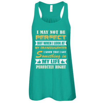 I May Not Be Perfect But When I Look At My Granddaughter T-Shirt & Tank Top | Teecentury.com