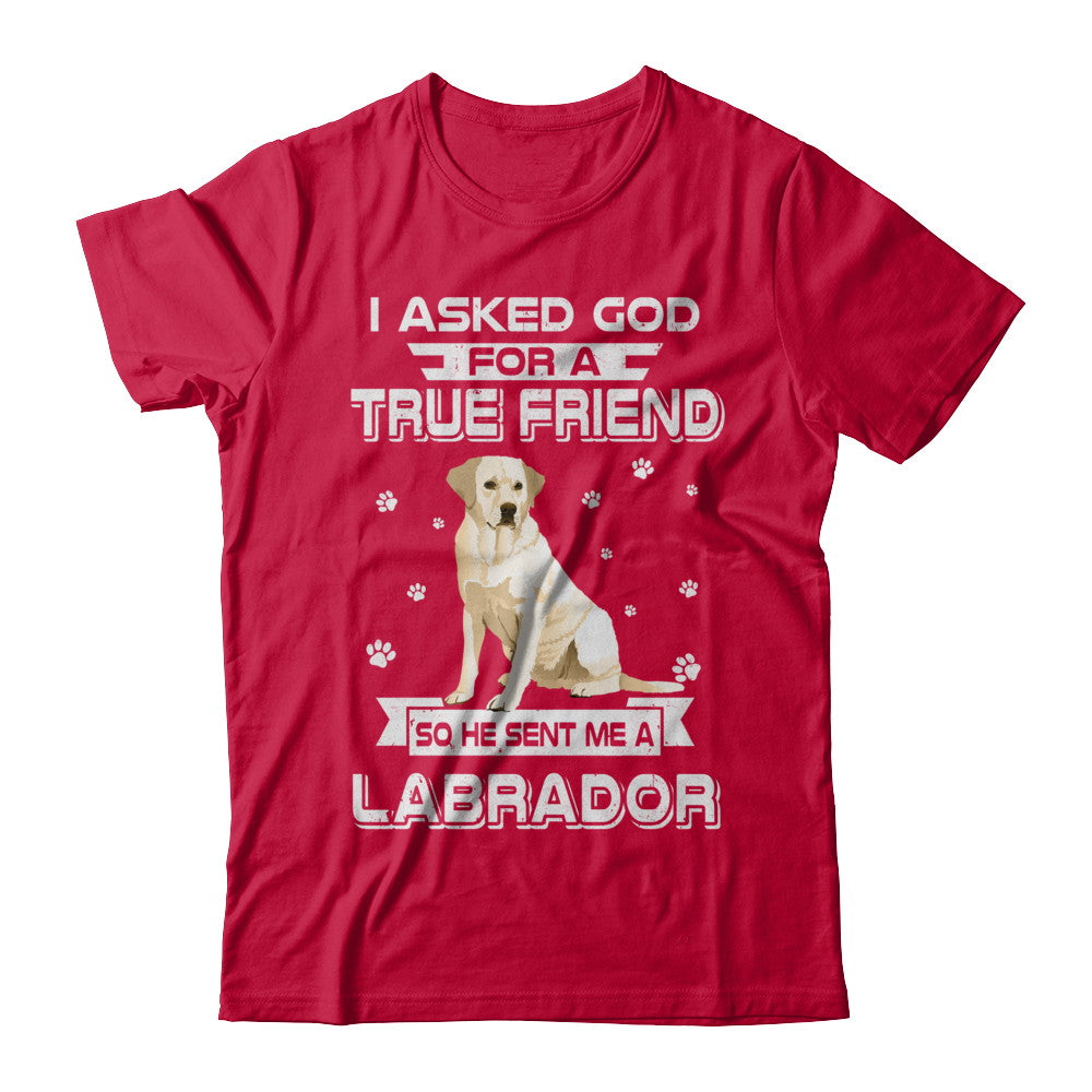 I Asked God For A True Friend So Sent Me Labrador Dog T-Shirt & Hoodie | Teecentury.com