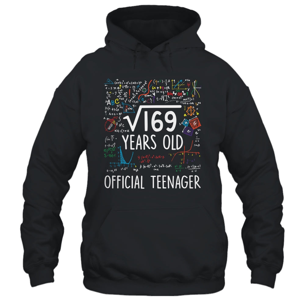 13 Birthday Official Teenager Boy 13yr Math 13th Birthday Shirt & Hoodie | teecentury