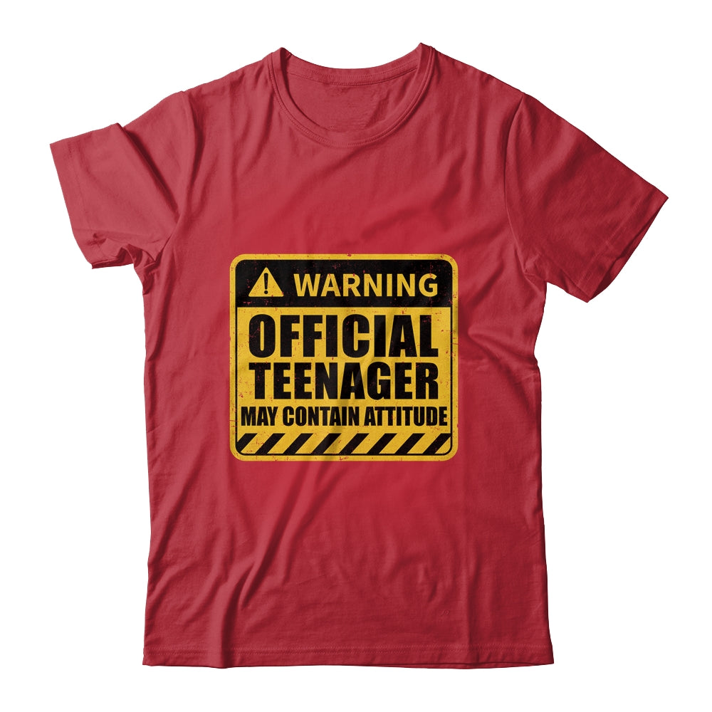 13 Birthday Official Teenager May Contain Attitude Math 13th Birthday Shirt & Hoodie | teecentury