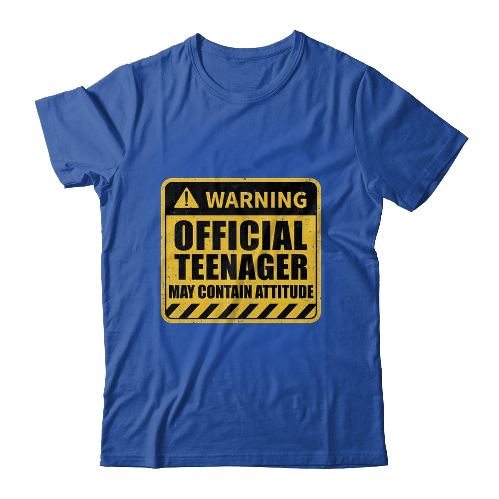 13 Birthday Official Teenager May Contain Attitude Math 13th Birthday Shirt & Hoodie | teecentury