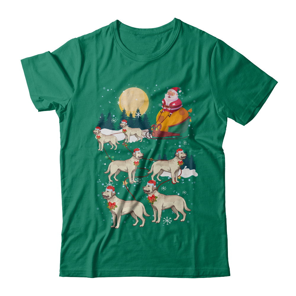 Dog Reindeer Labrador Christmas Gift T-Shirt & Sweatshirt | Teecentury.com