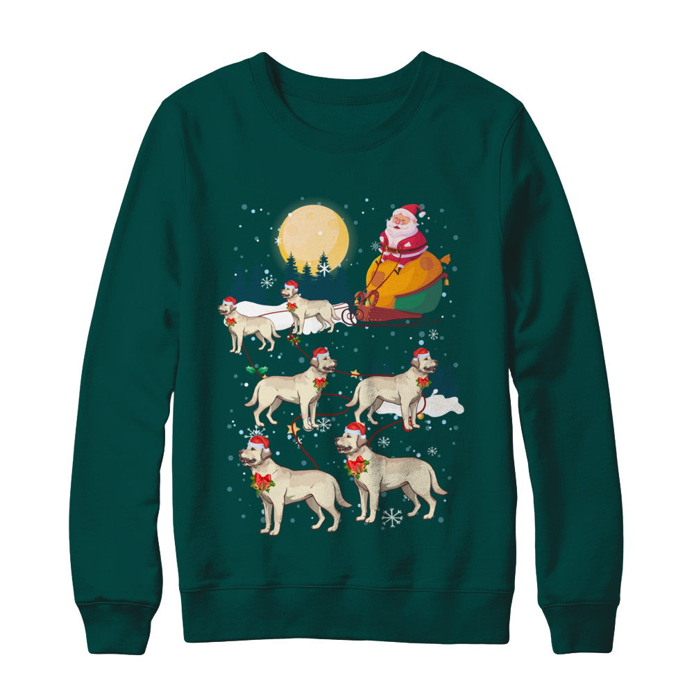 Dog Reindeer Labrador Christmas Gift T-Shirt & Sweatshirt | Teecentury.com