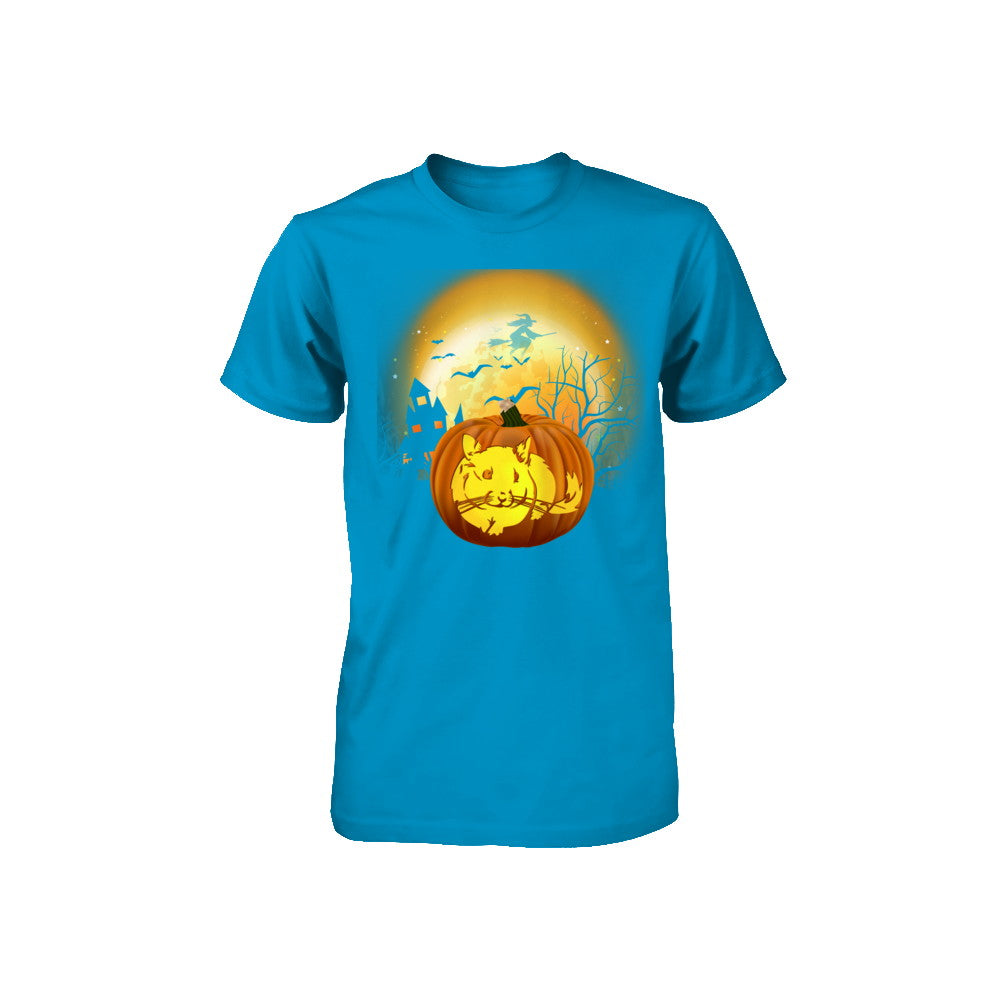 Pumpkin Chinchilla Halloween Human Costume Youth Youth Shirt | Teecentury.com