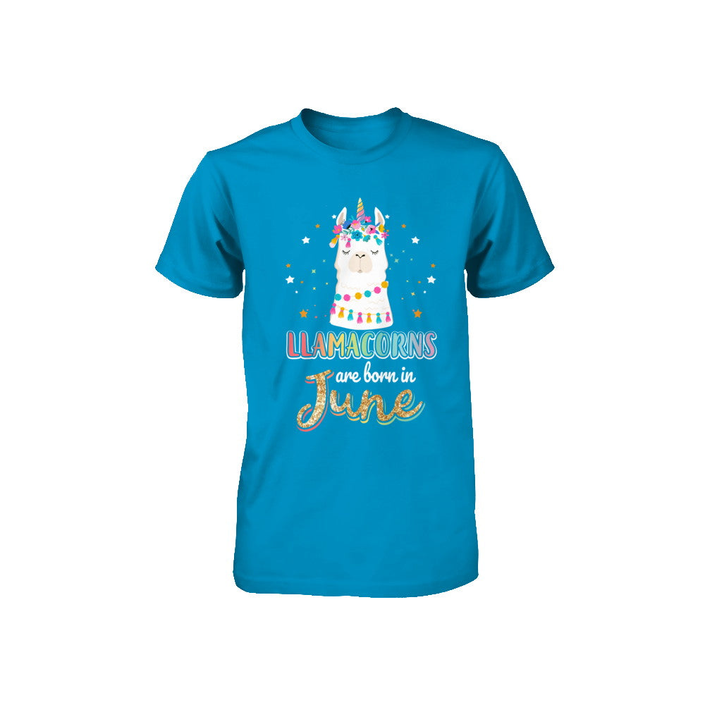 Llama Unicorn Llamacorns Born In June Birthday Gift Youth Youth Shirt | Teecentury.com