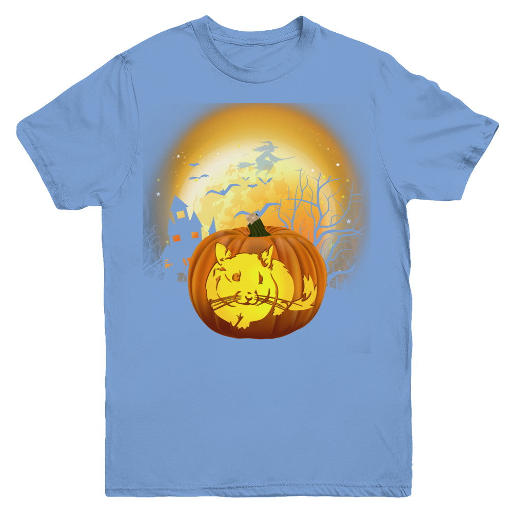 Pumpkin Chinchilla Halloween Human Costume Youth Youth Shirt | Teecentury.com