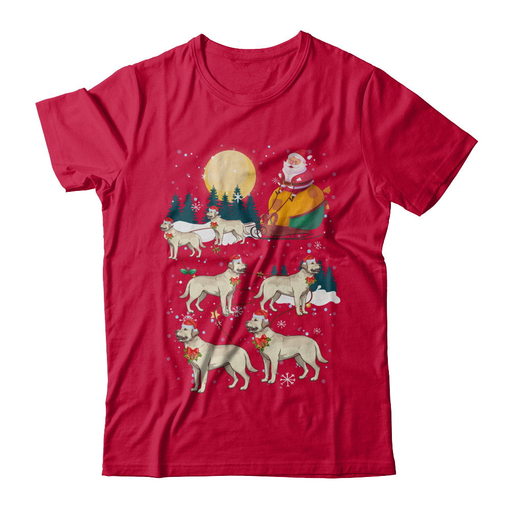 Dog Reindeer Labrador Christmas Gift T-Shirt & Sweatshirt | Teecentury.com