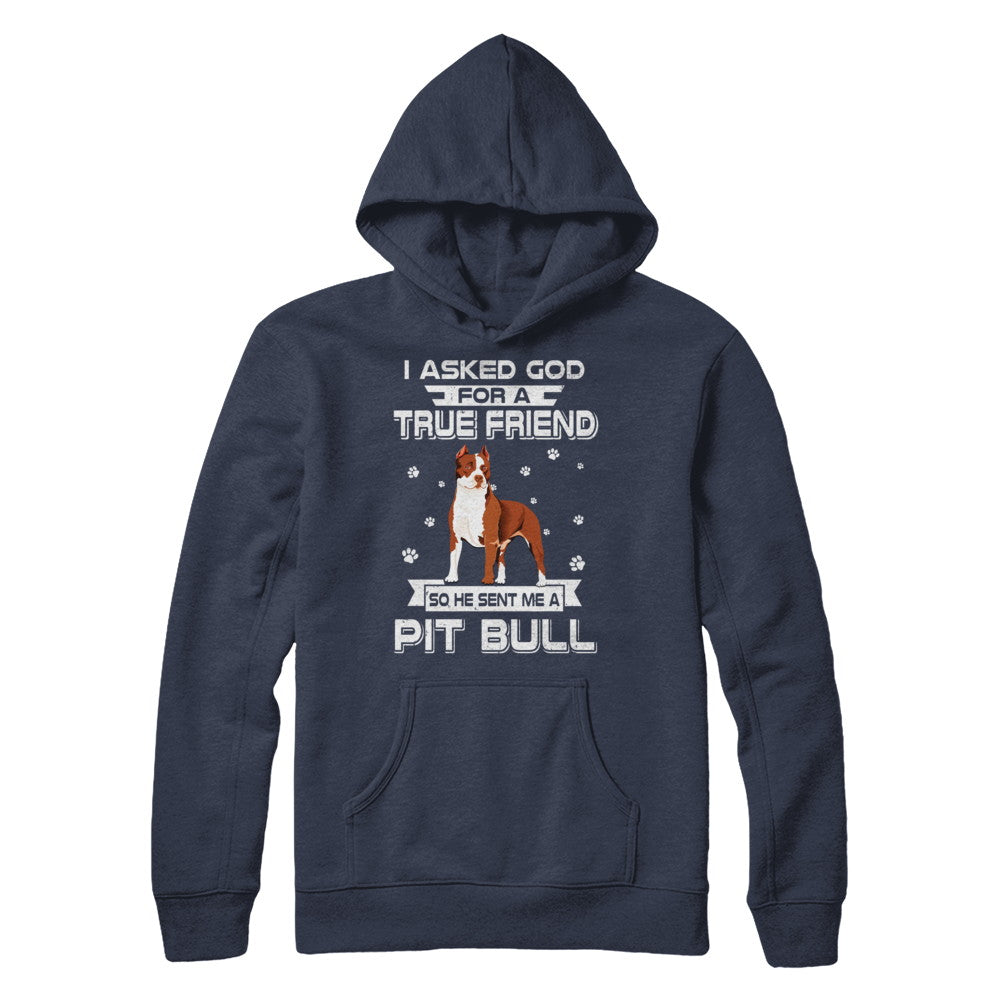 I Asked God For A True Friend So Sent Me Pitbull Dog T-Shirt & Hoodie | Teecentury.com