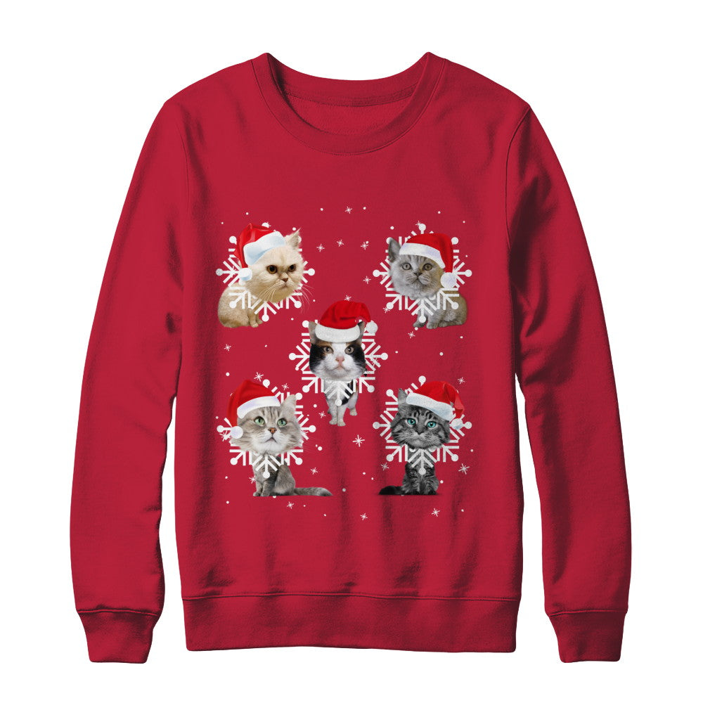 Cute Cat's Christmas Snowflakes Cat Claus T-Shirt & Sweatshirt | Teecentury.com