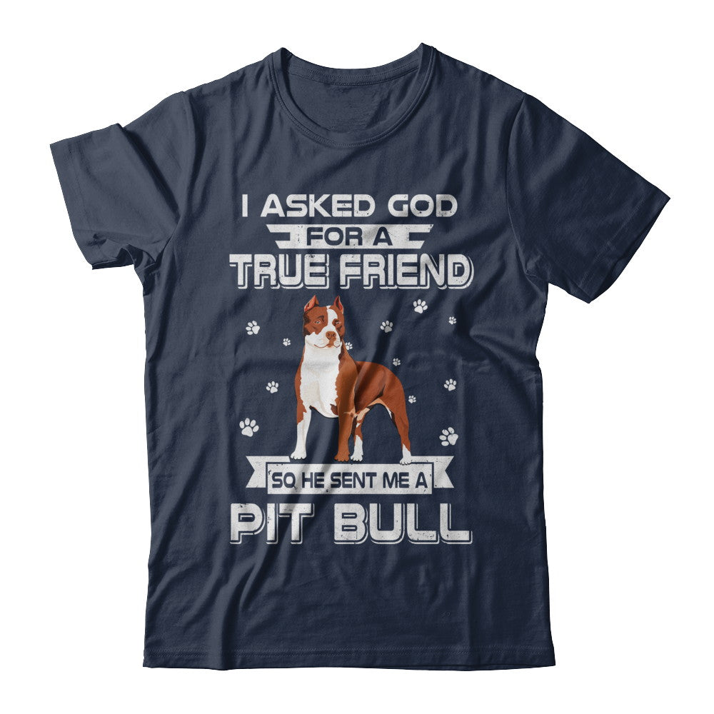 I Asked God For A True Friend So Sent Me Pitbull Dog T-Shirt & Hoodie | Teecentury.com