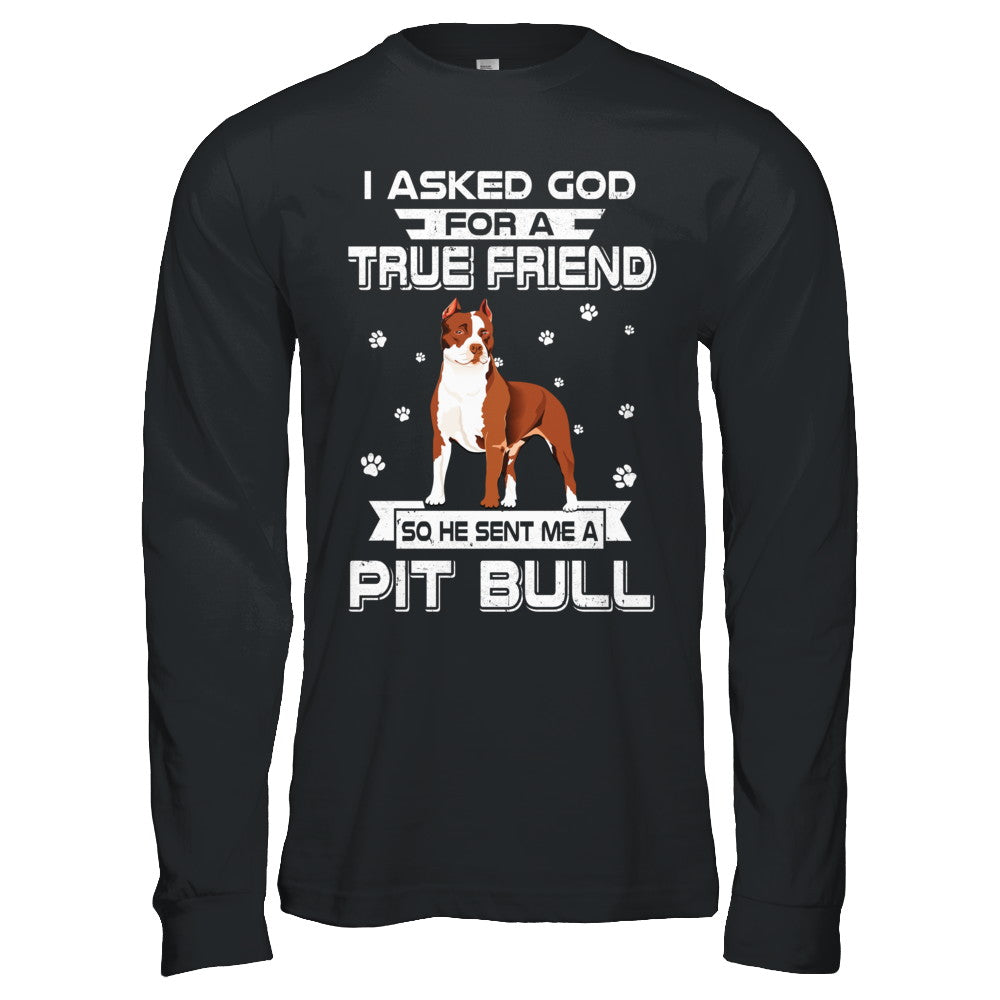 I Asked God For A True Friend So Sent Me Pitbull Dog T-Shirt & Hoodie | Teecentury.com