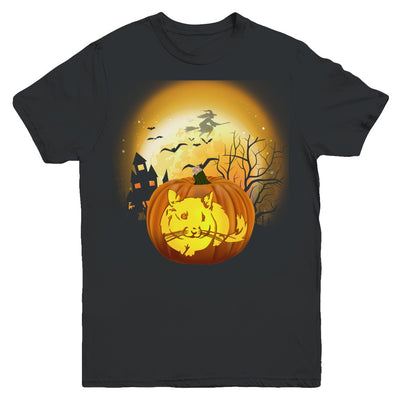 Pumpkin Chinchilla Halloween Human Costume Youth Youth Shirt | Teecentury.com