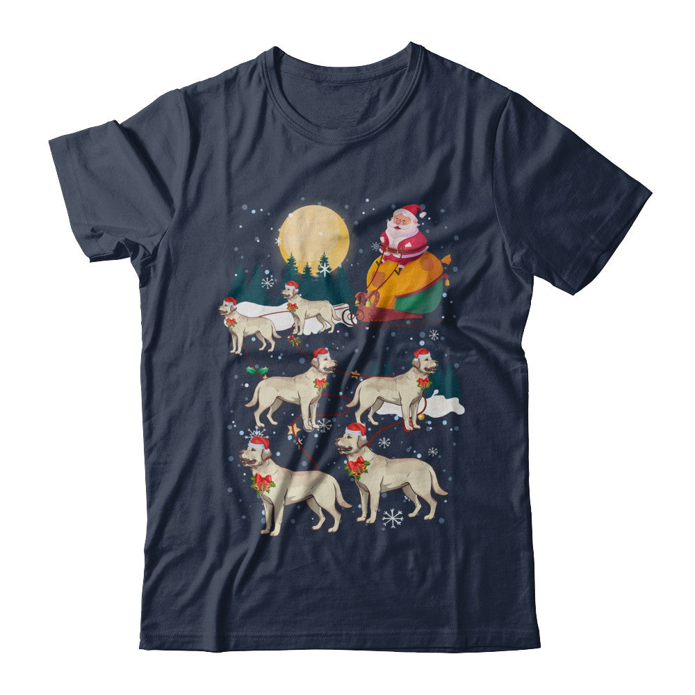 Dog Reindeer Labrador Christmas Gift T-Shirt & Sweatshirt | Teecentury.com